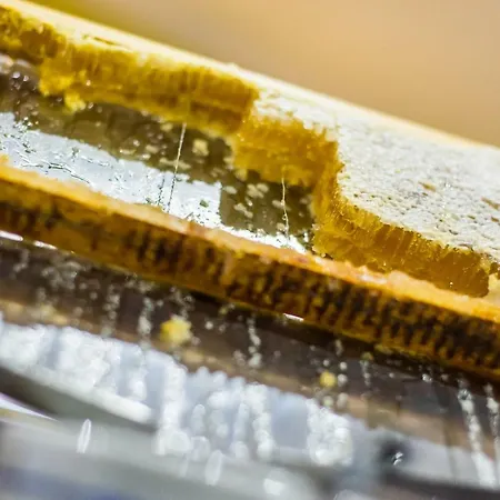 Udalla Park - & Ξενοδοχείο με διαμερίσματα Πλάγια ντε λας Αμέρικας