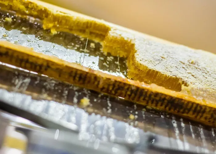 Udalla Park - & Aparthotel Playa de las Americas (Tenerife)